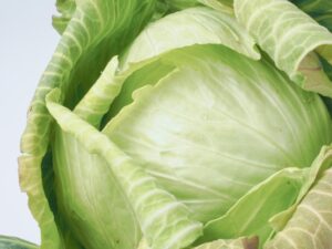 春キャベツは今が旬「薬膳パワー」とおすすめの食べ方をプロが解説