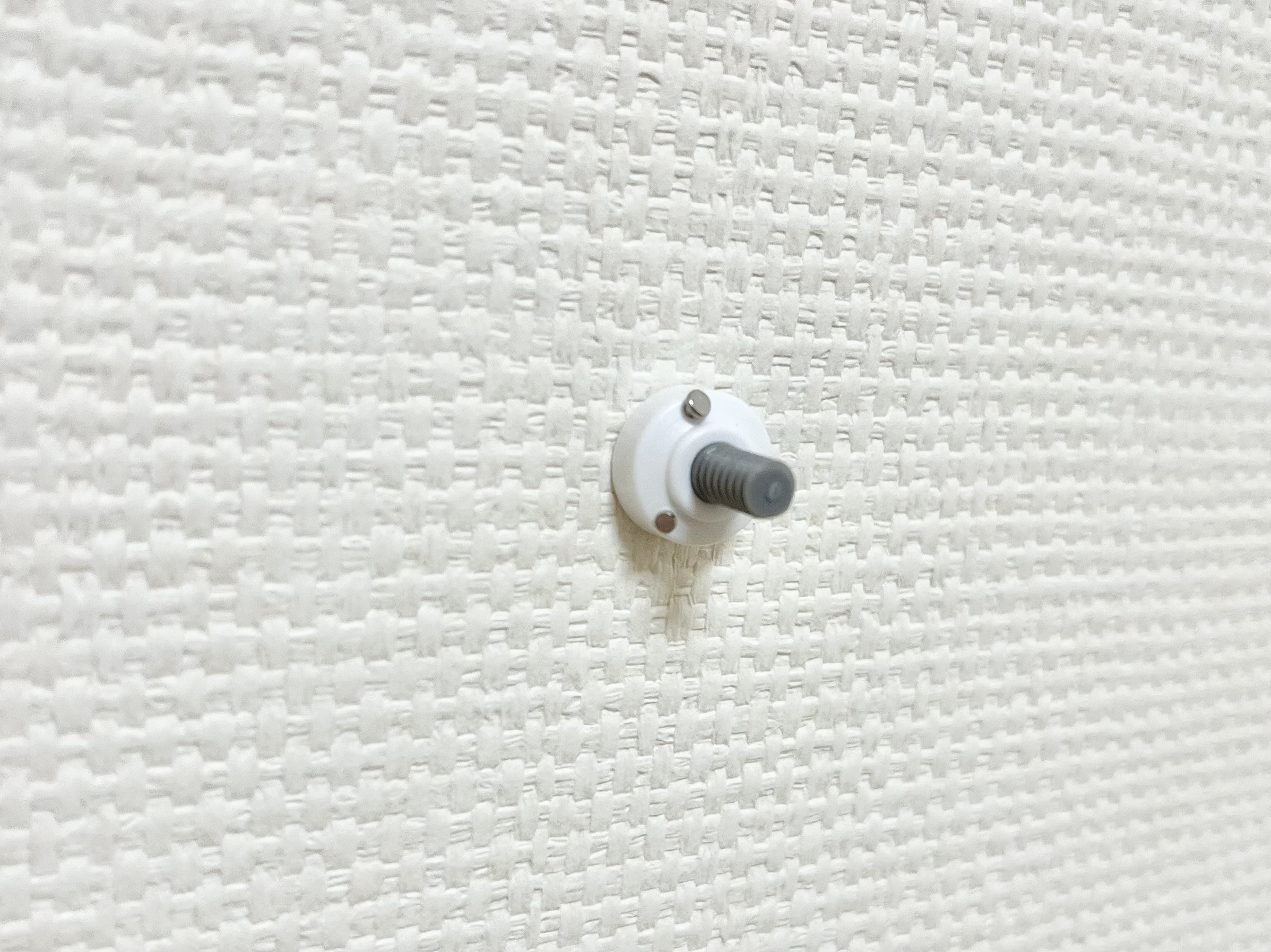 ダイソーの「壁面に取り付けできるネジ型ピン(２個)」の取り付け画像