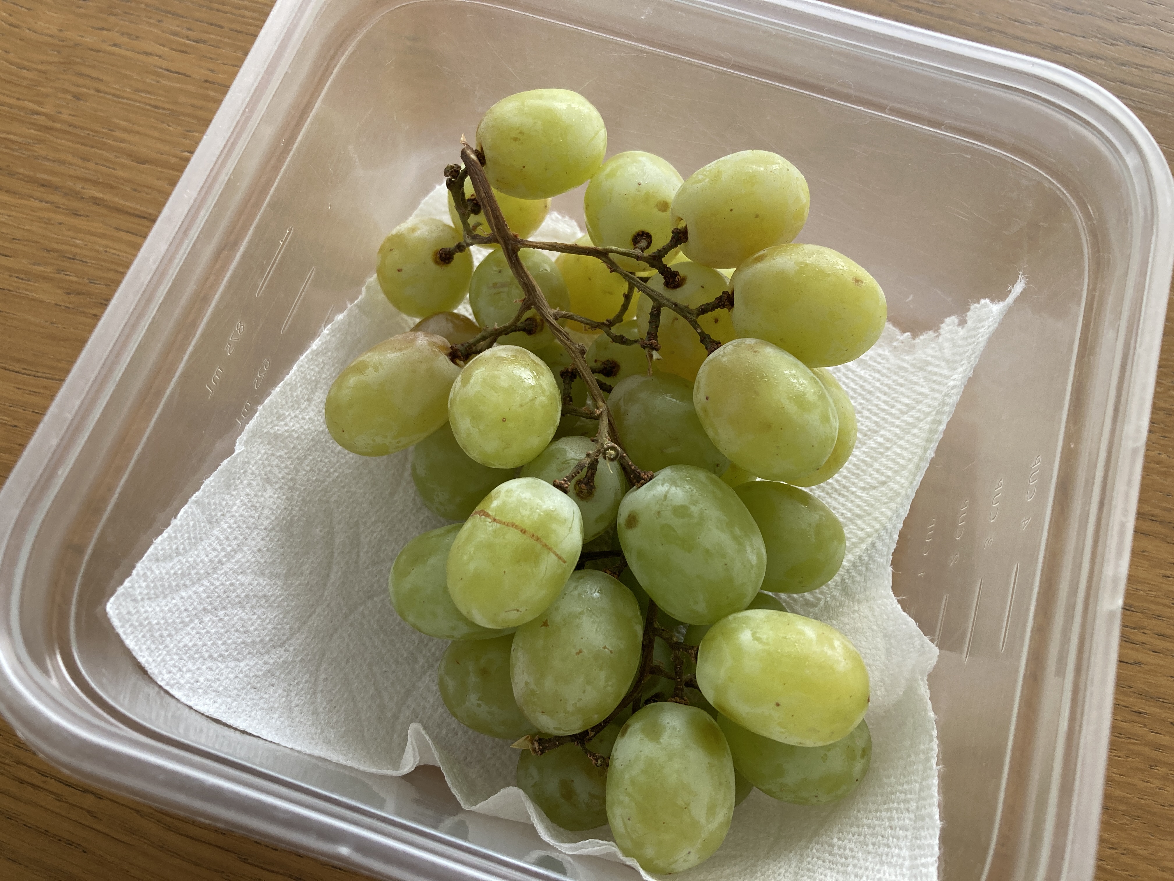 保存容器に入れられたコットンキャンディグレープ