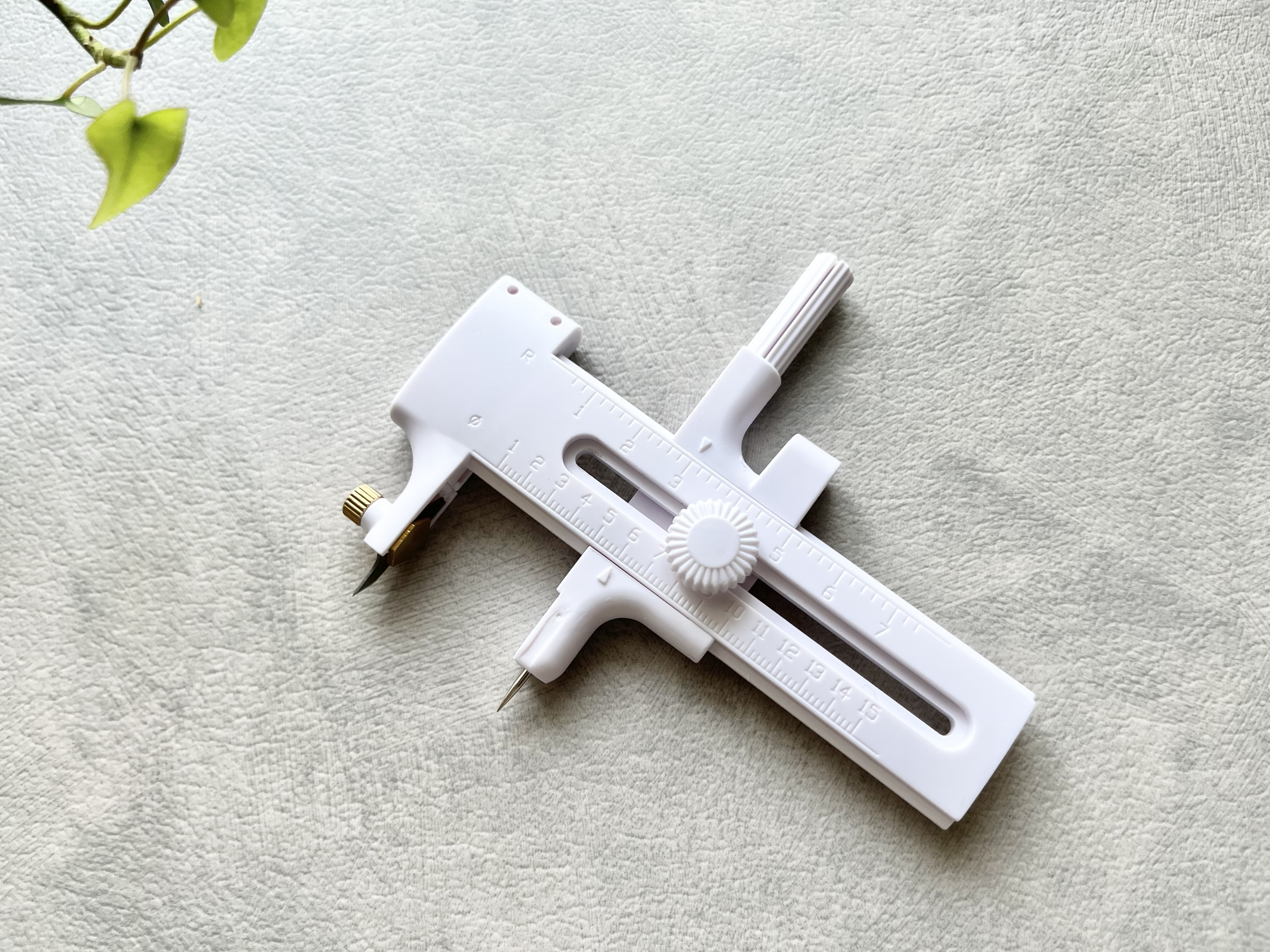 ダイソーの「コンパスカッター」の使用画像