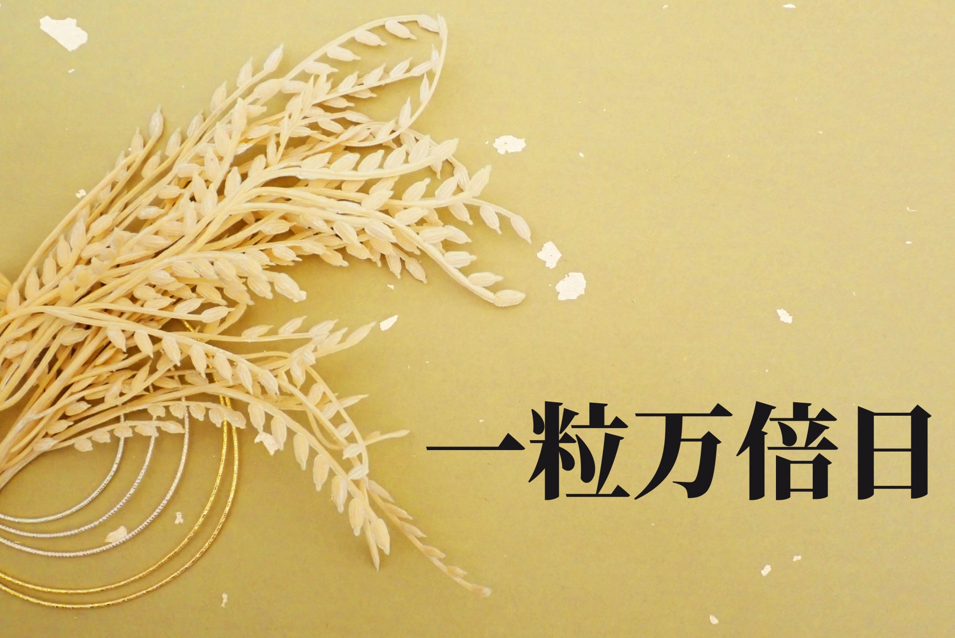 一粒万倍日