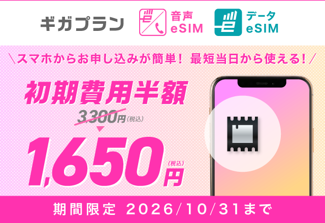 eSIM初期費用半額キャンペーン