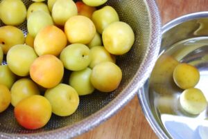 【旬を楽しむ】“梅しごと”で心もリセット！疲れた身体を癒やす手作りの味