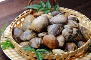 そのだるさ“鉄不足”が原因かも?あさりで整える健康的な食べ方を薬膳師が解説