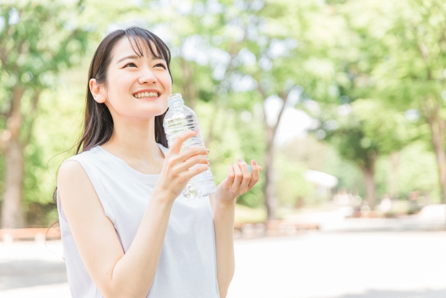 暑熱順化　薬膳