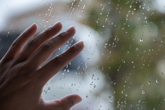 梅雨　薬膳