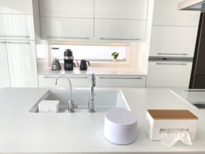 【コバエ・害虫対策】夏に絶対見たくない！家の中の虫よけ・侵入防止ワザ