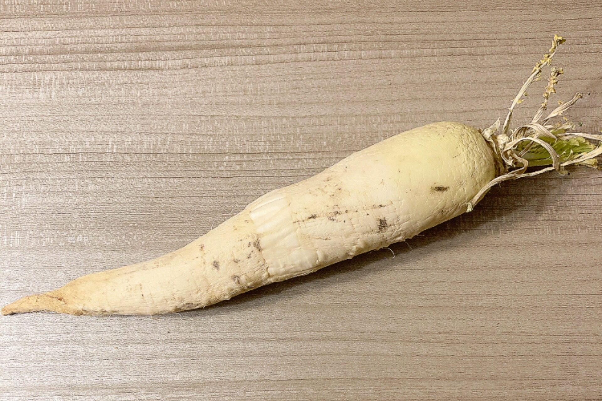 しなびた大根