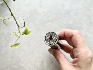 【ダイソー330円】いろんなサイズに自在にフィット！「ユニバーサルソケット」が想像以上に優秀