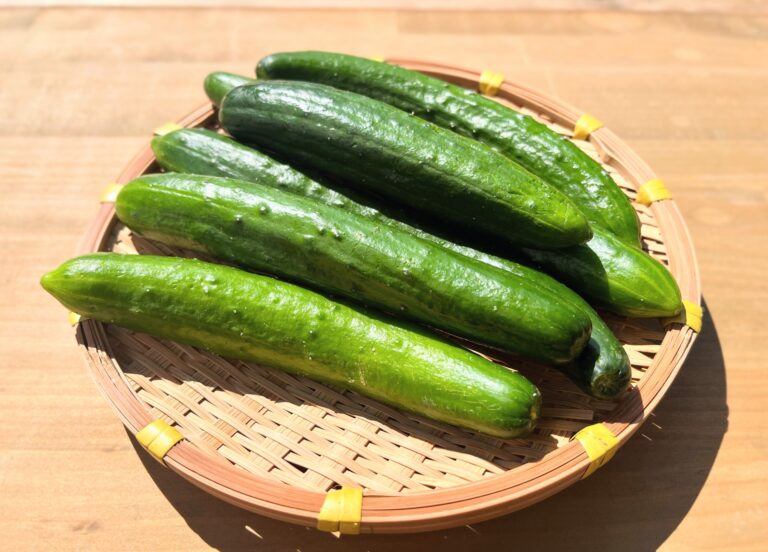 ぶっちゃけ毎回必要？きゅうりの「塩もみ」がいらない料理・いる料理の判断基準