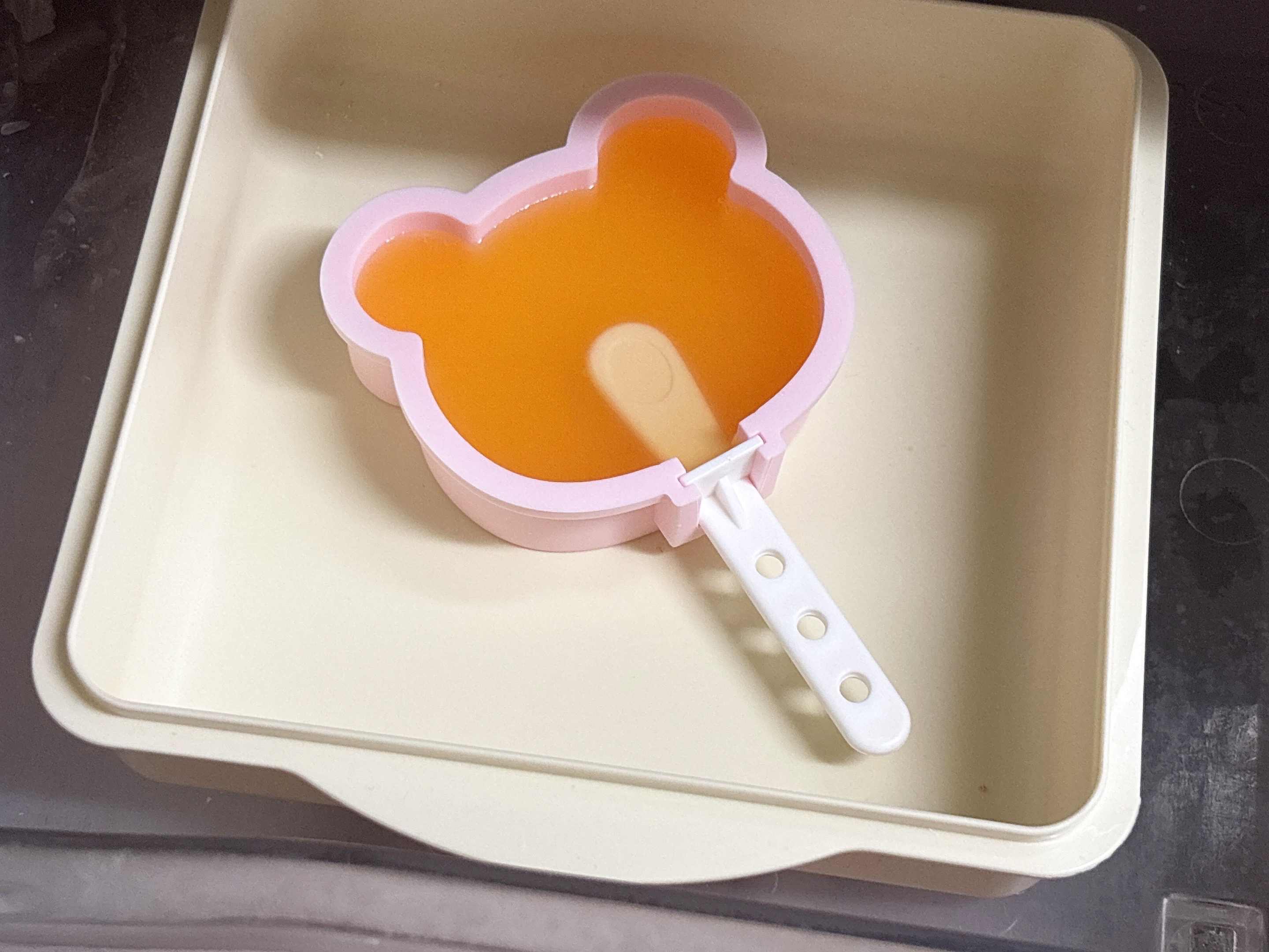 モールド にジュースを入れてから冷凍庫に
