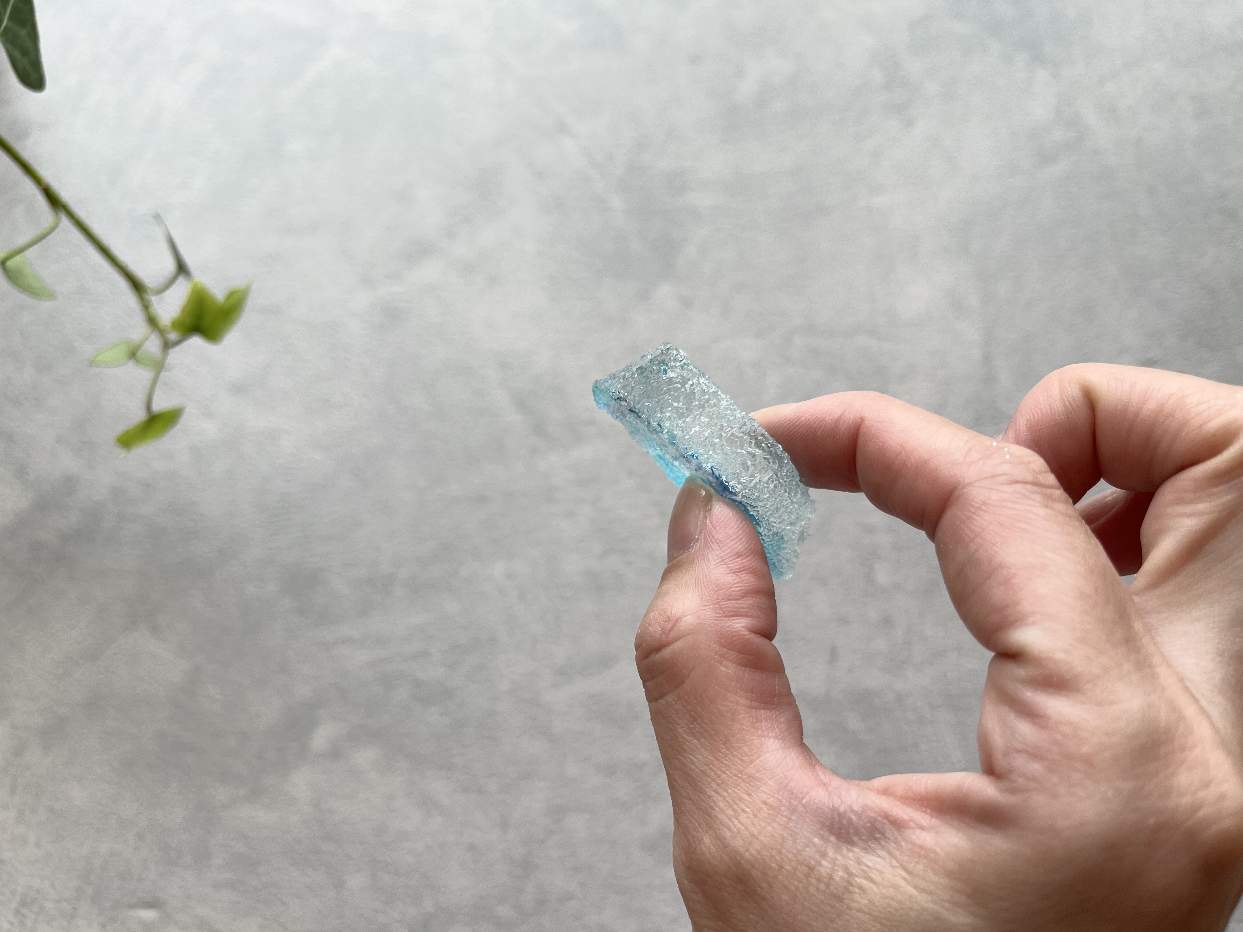 セリアの「レンジでできる琥珀糖」の使用画像