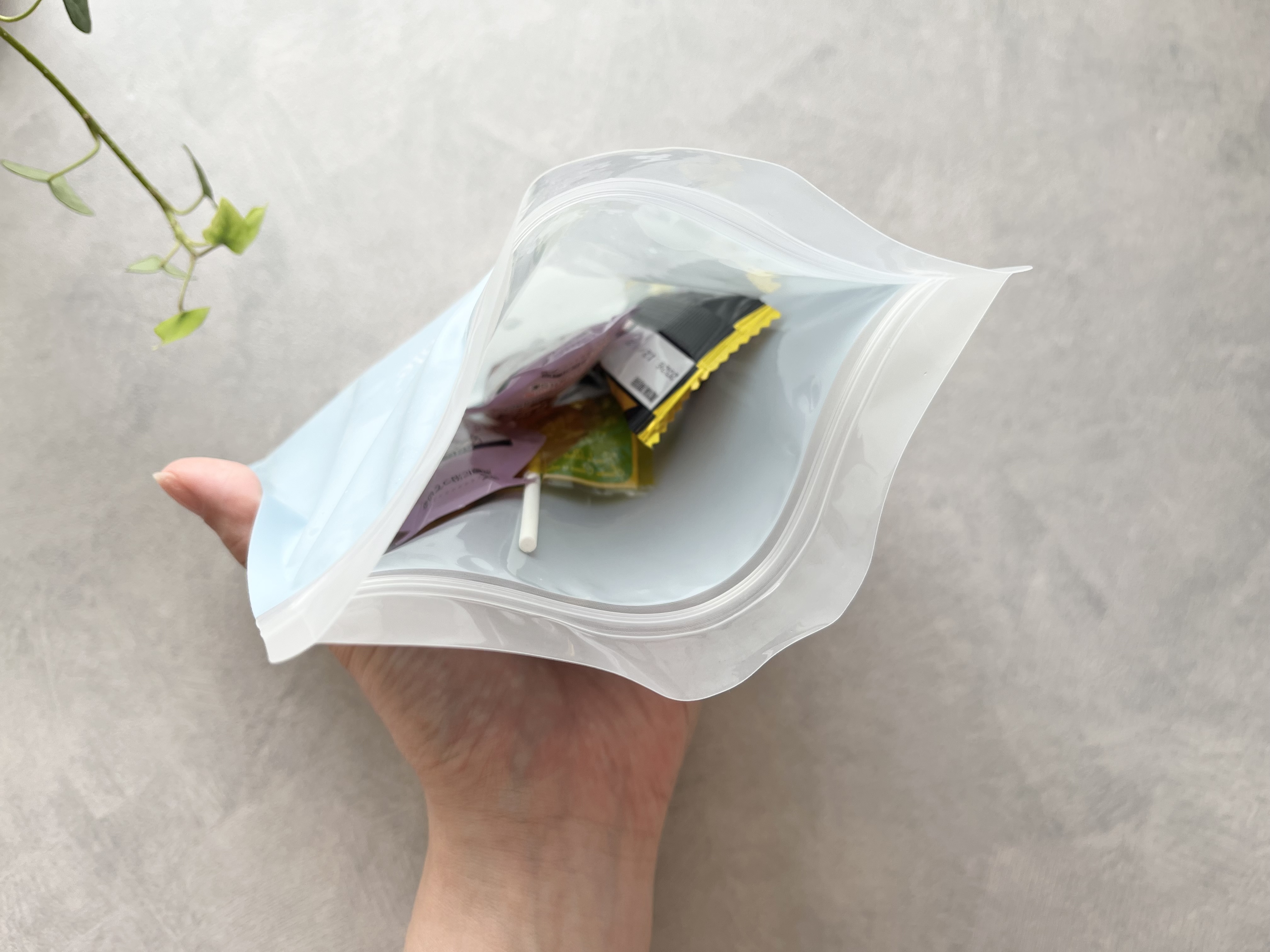 ダイソーの「保冷剤付 ジップバッグ」の使用画像