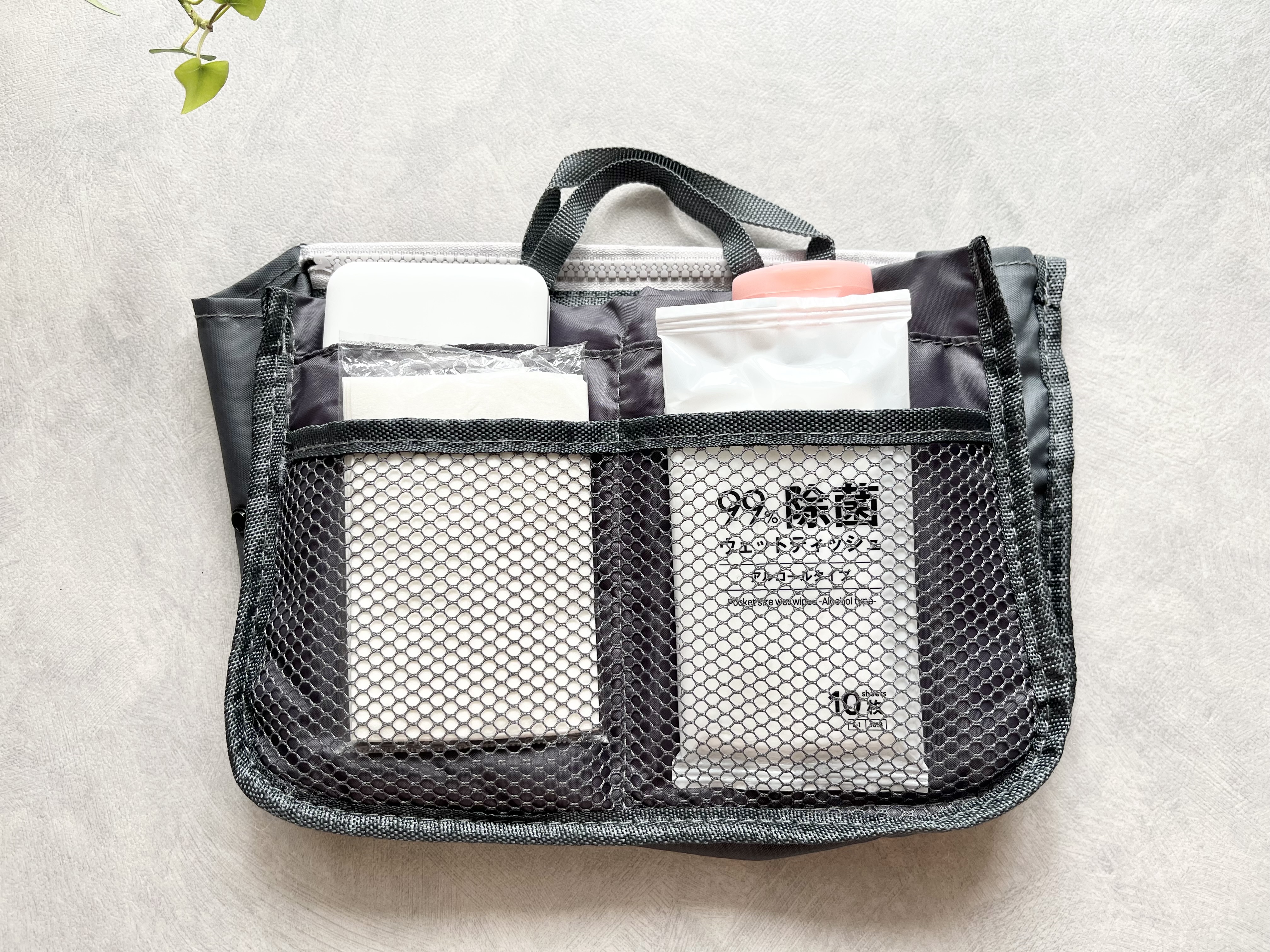 ダイソーの「マチが広がるバッグインバッグ(11ポケット)」の使用画像