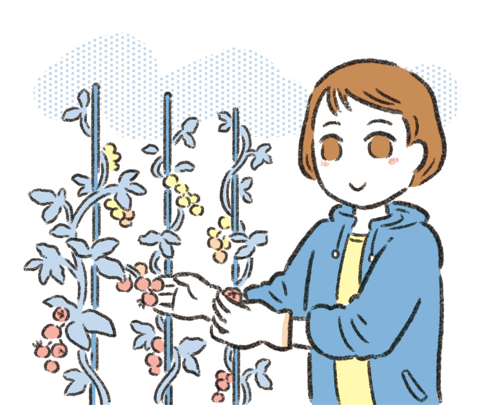 野菜を育てている女性のイラスト
