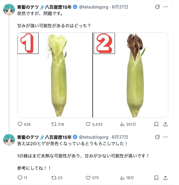 青髪のテツ　X画面キャプチャ