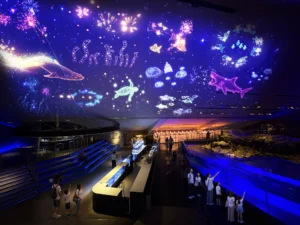 【2026年夏】花火からびしょ濡れまで！東京の水族館で楽しむ限定イベント3選