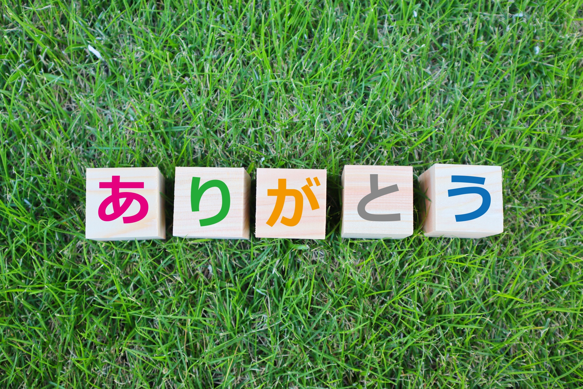 ありがとう