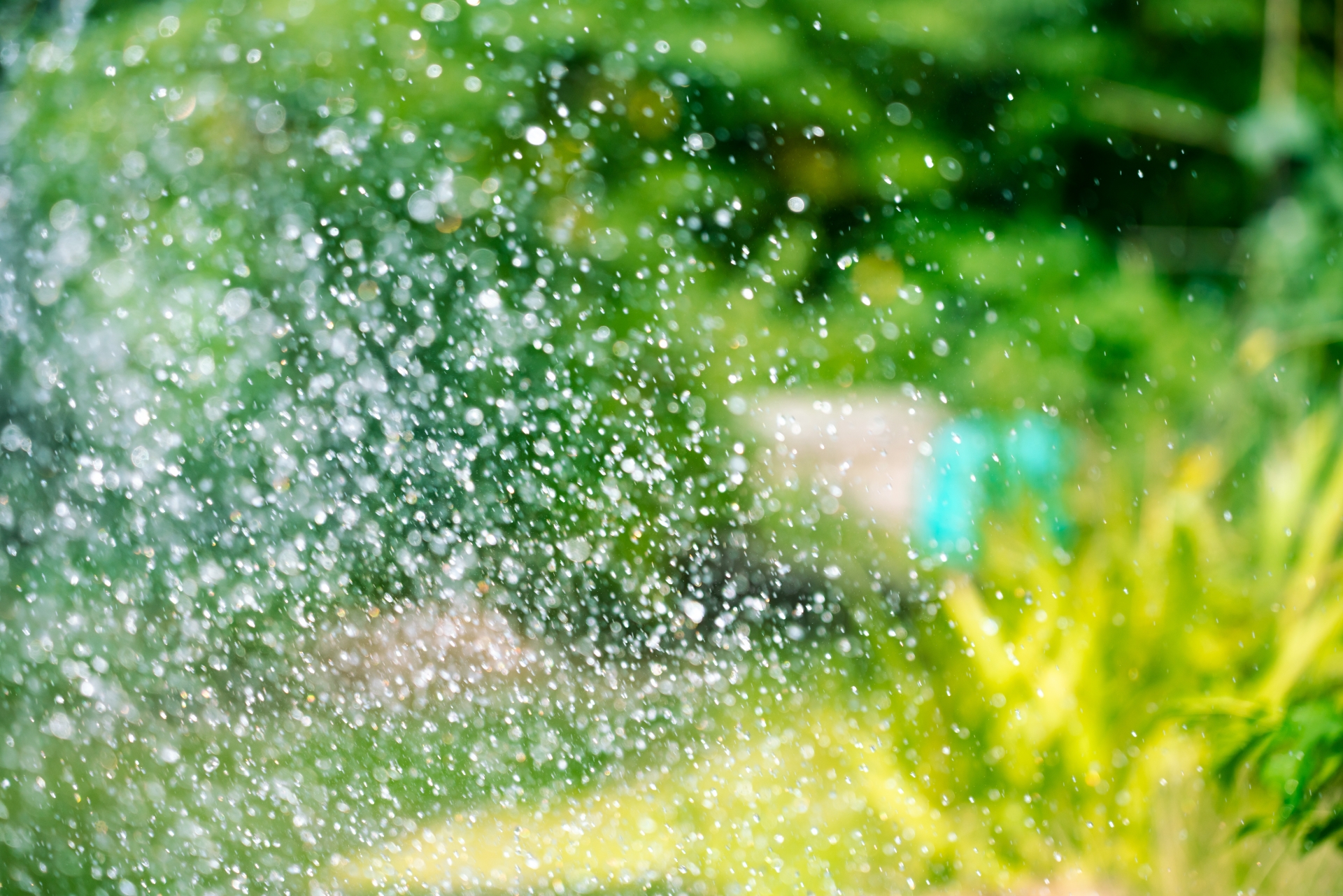 水はたっぷりと!