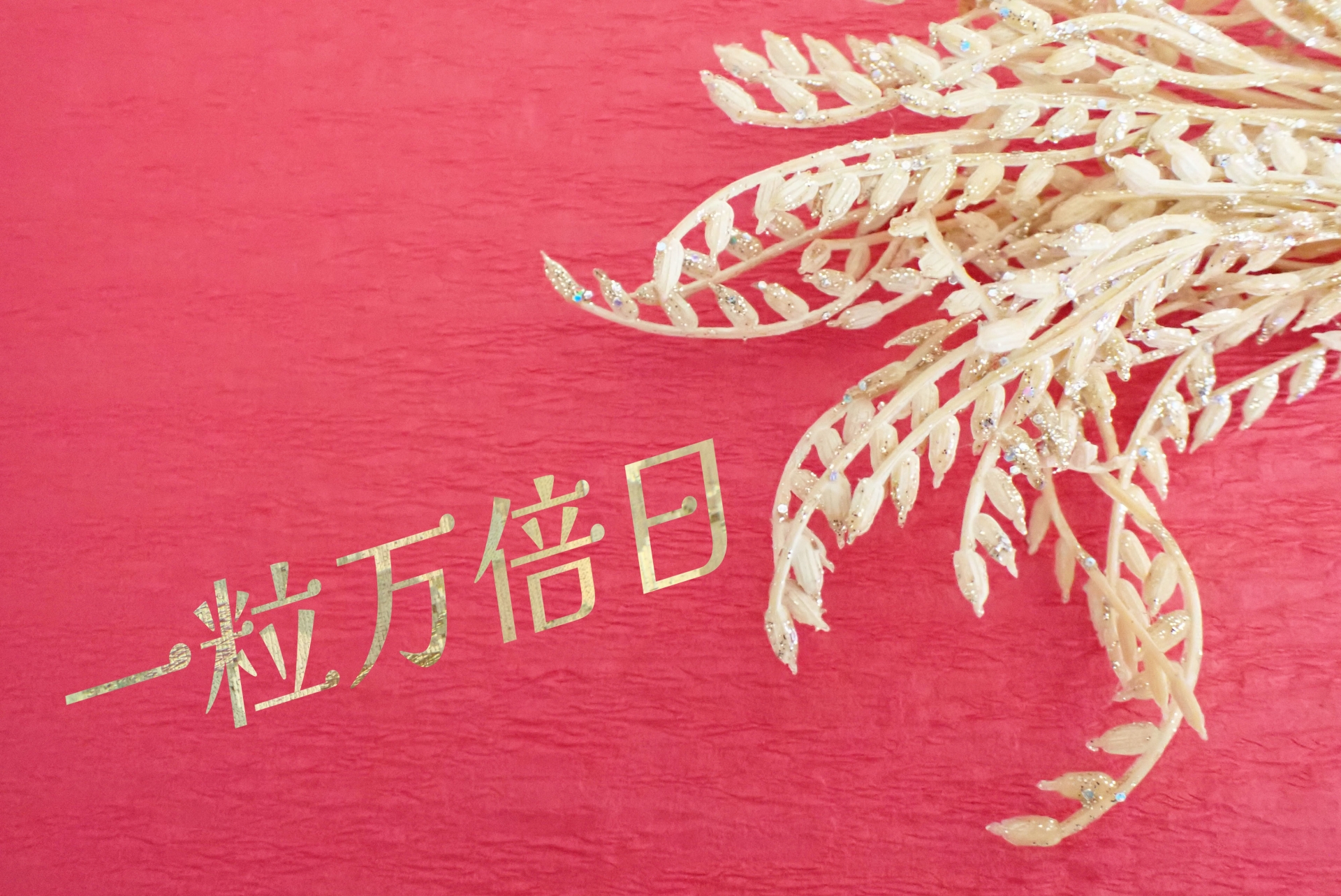 一粒万倍日
