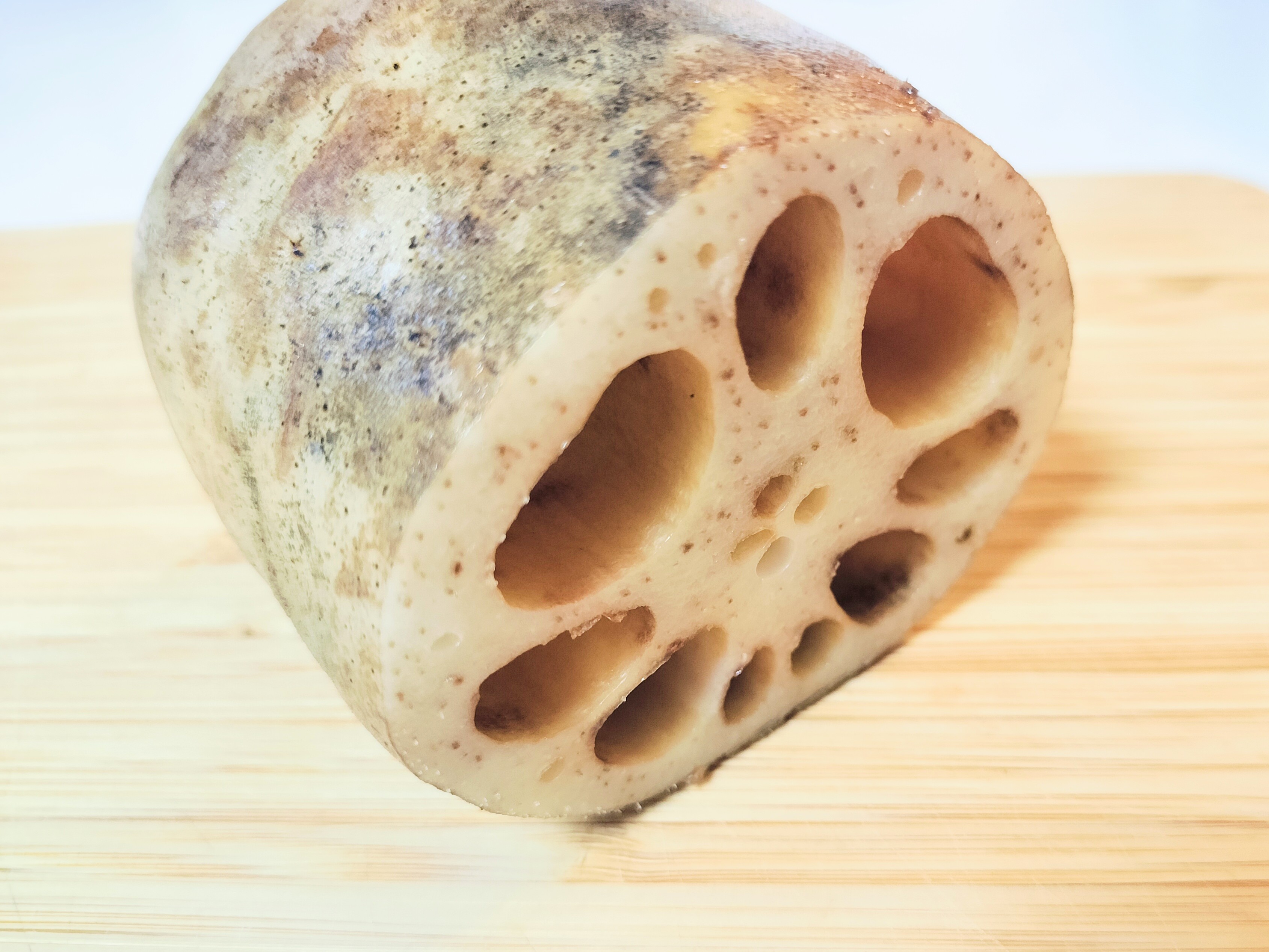 側面からみたれんこん