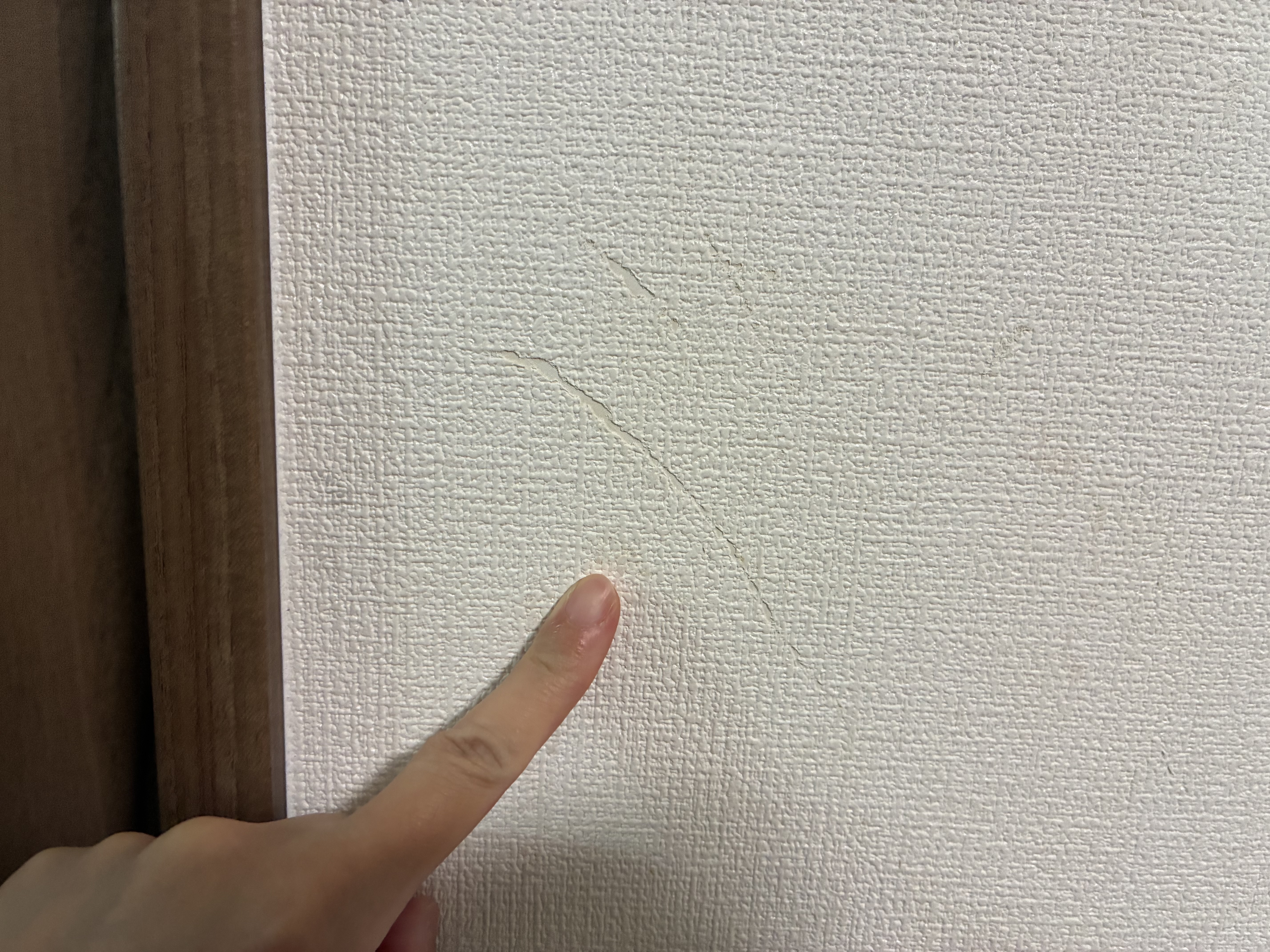 以前飼われていた猫による引っ掻き傷