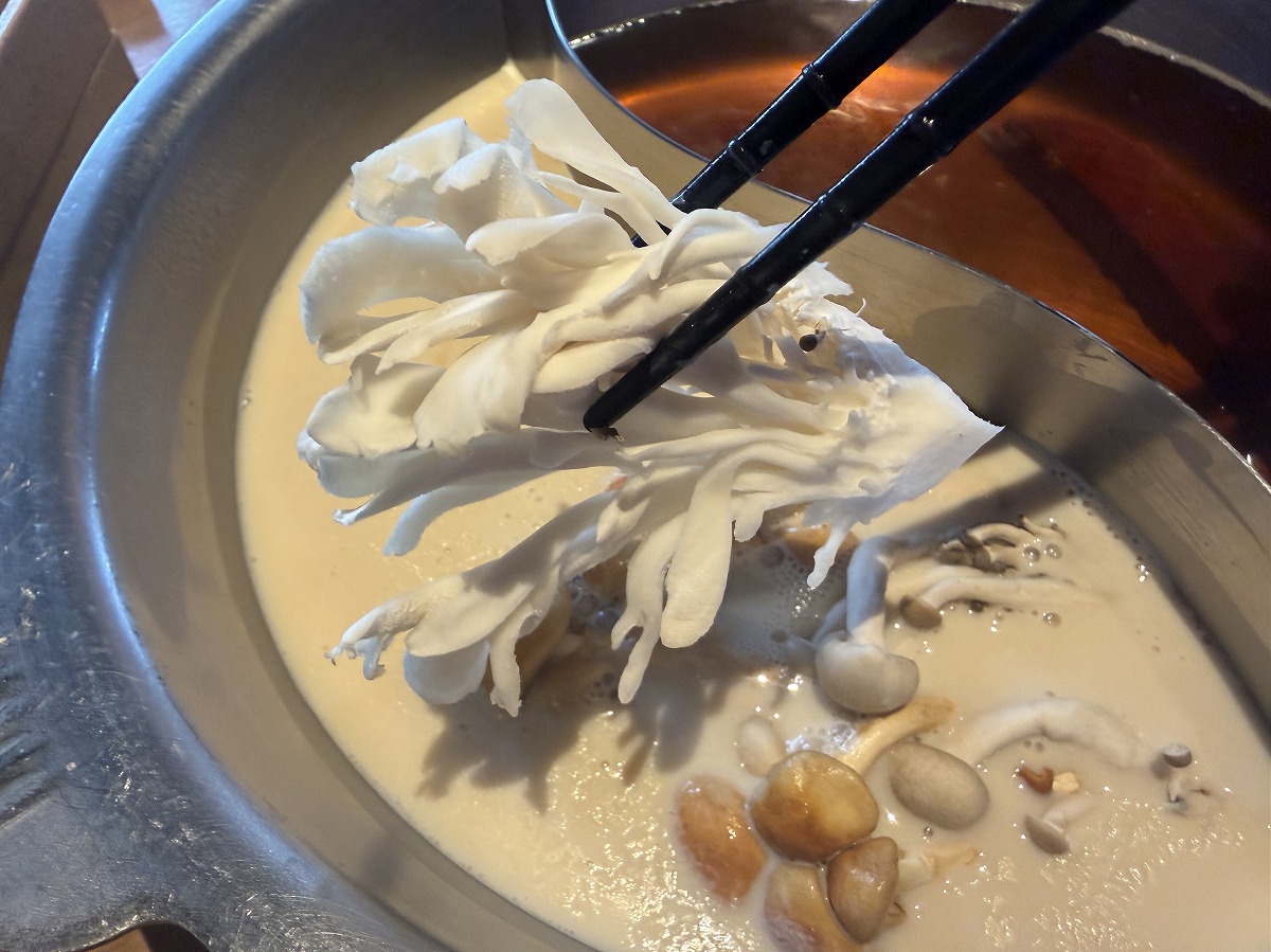 豆乳ポルチーニしゃぶしゃぶのだしに白舞茸を入れるところ