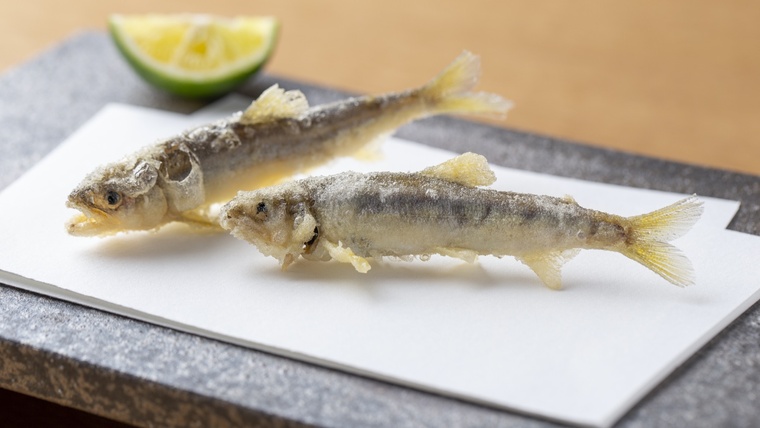 天よこた 明日へ