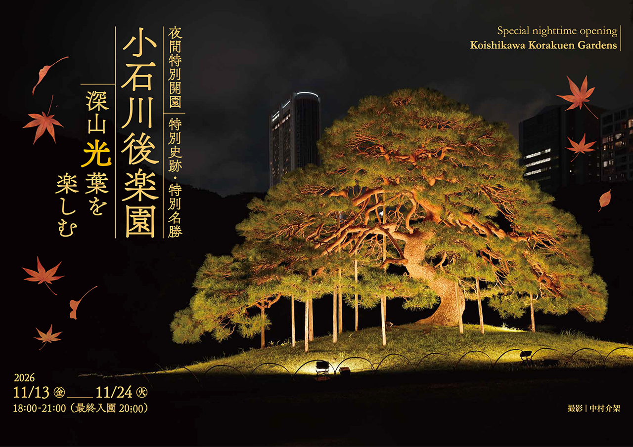 夜間特別開園～小石川後楽園 深山“光”葉を楽しむ～