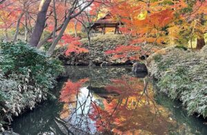 【2026年秋】紅葉と一緒に楽しむ東京の庭園イベント3選！スタンプラリーや夜間ライトアップも